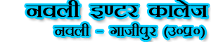 NAULI INTER COLLEGE